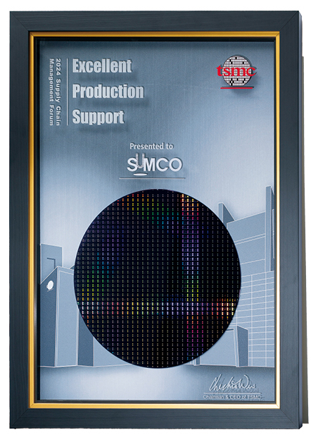 2024 Excellent Performance Award from TSMC