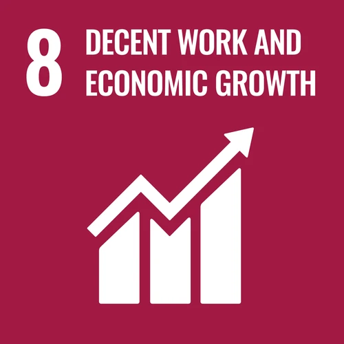 【8】decent work and economic growth