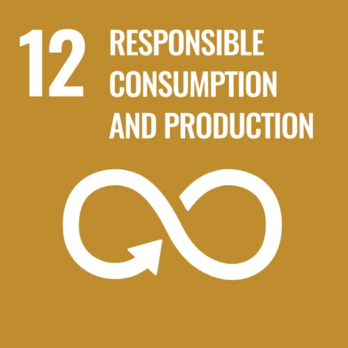 【12】responsible consumption and production