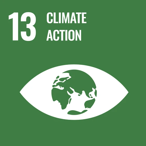 【13】climate action