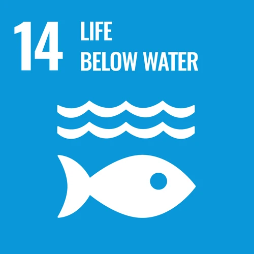 【14】life below water