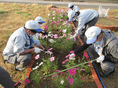 Employees planting flowers in a flowerbed.
