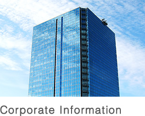 Corporate Information