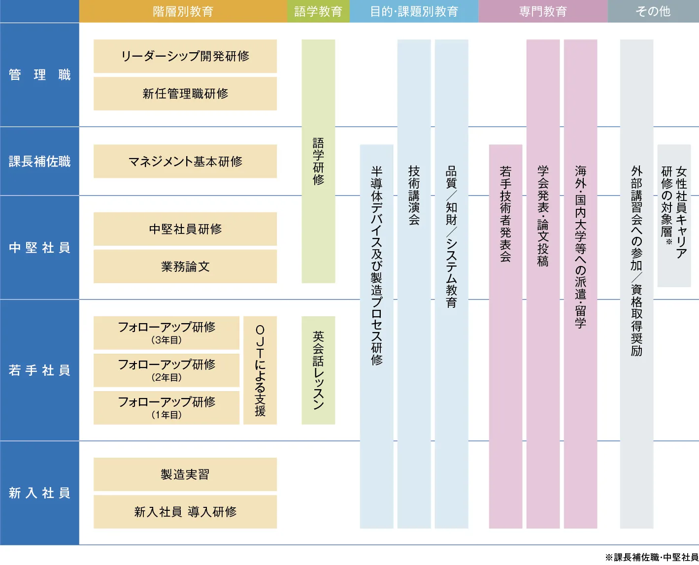 新入社員、若手社員、中堅社員、課長補佐職、管理職の5階層に対し、階層別研修、語学、技術、専門教育等を配置したマトリクス図