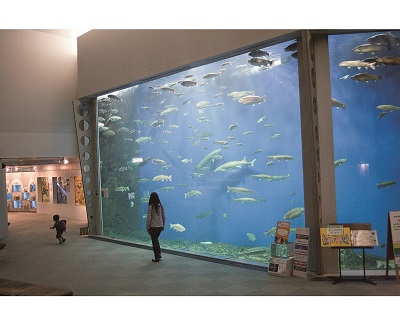 サケのふるさと 千歳水族館